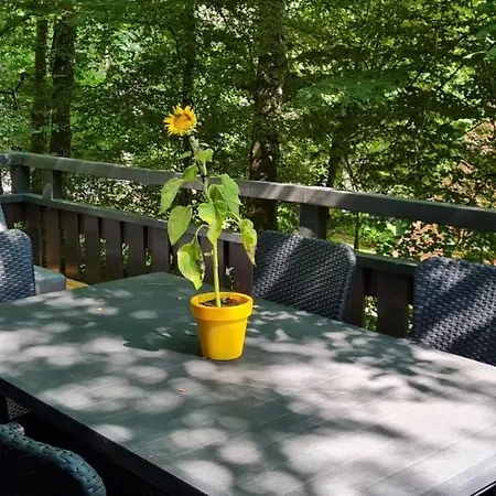 샬레 Les Jardins De *